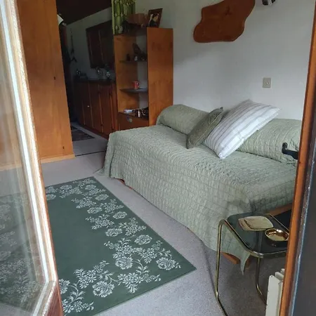 Avec Vue Splendide Sur Apartament Les Diablerets