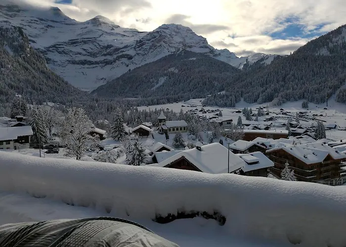 Avec Vue Splendide Sur Appartement Les Diablerets