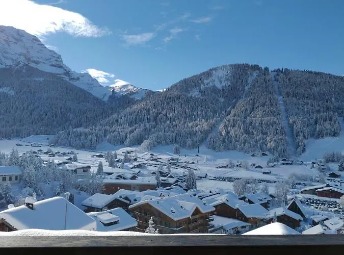 Avec Vue Splendide Sur * Les Diablerets