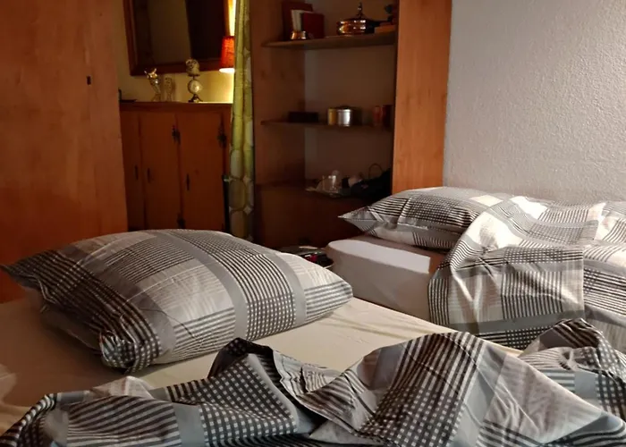 Avec Vue Splendide Sur Appartement Les Diablerets