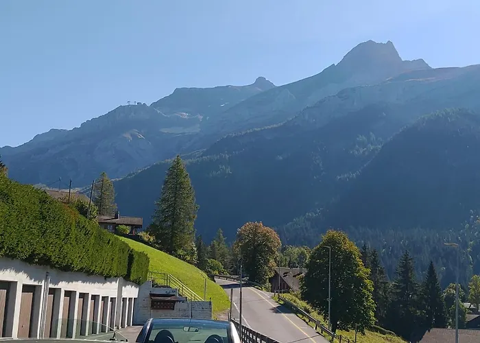 Avec Vue Splendide Sur Les Diablerets