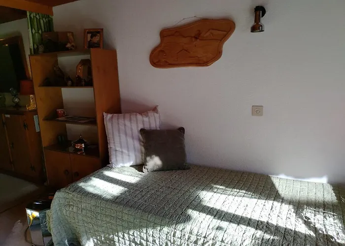 Avec Vue Splendide Sur Les Diablerets