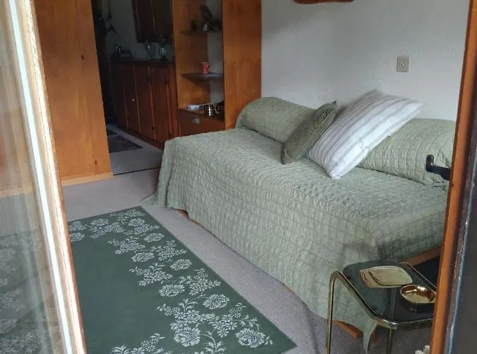 Avec Vue Splendide Sur Appartement Les Diablerets