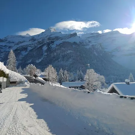 Avec Vue Splendide Sur Les Diablerets