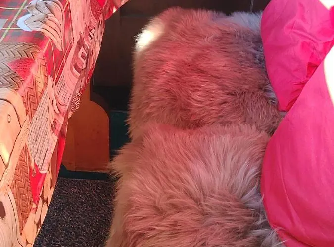 Apartmán Avec Vue Splendide Sur Les Diablerets