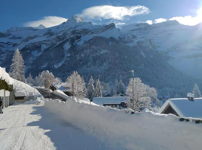 Avec Vue Splendide Sur Les Diablerets